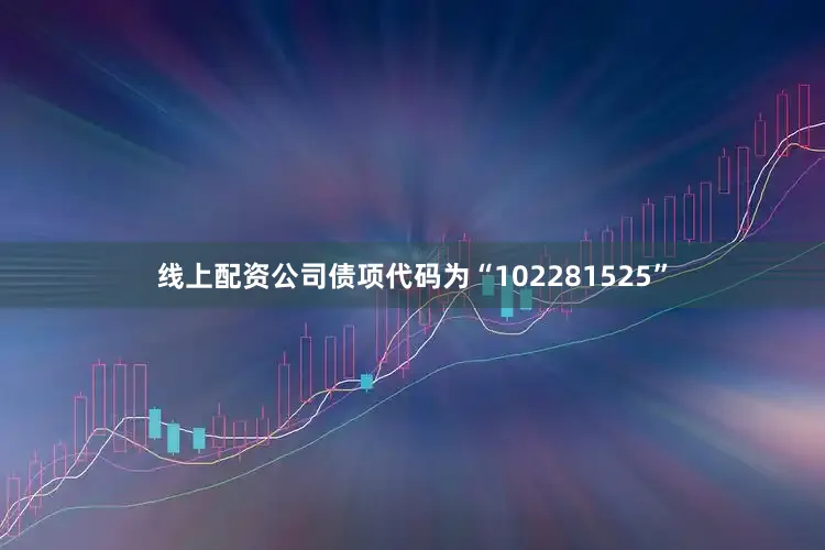 线上配资公司债项代码为“102281525”