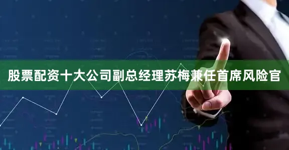 股票配资十大公司副总经理苏梅兼任首席风险官